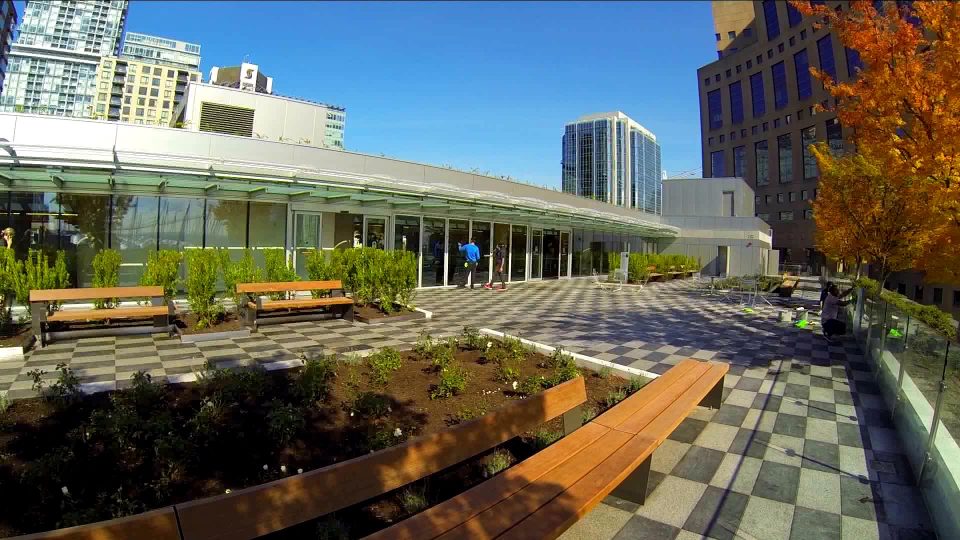 VPL rooftop patio