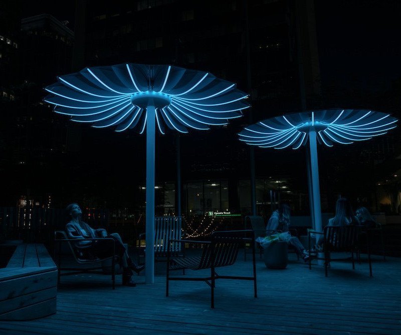 The parasols feature LED lighting
